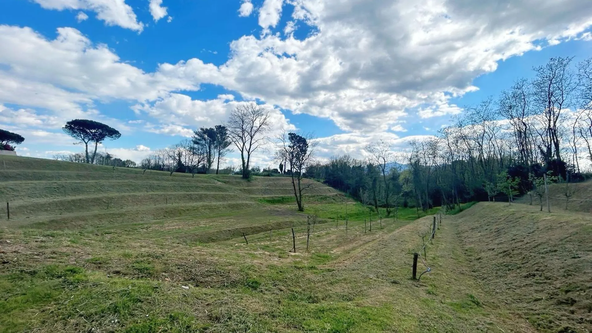 Tenuta Vinci Capannori 0*,  Italië